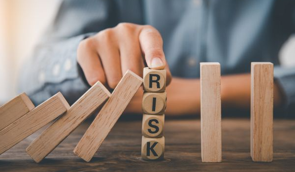 Challenges and Potential Risks