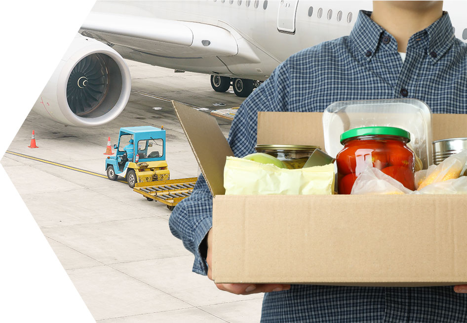 Perishable Freight Forwarders from China